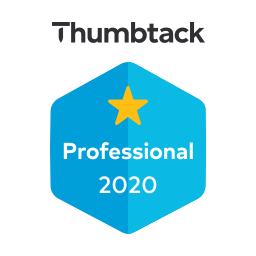 logo Professional 2020